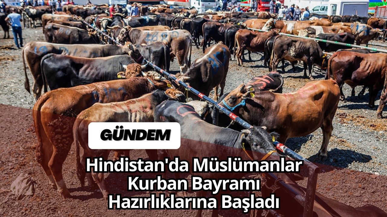 Hindistan'da Müslümanlar Kurban Bayramı Hazırlıklarına Başladı